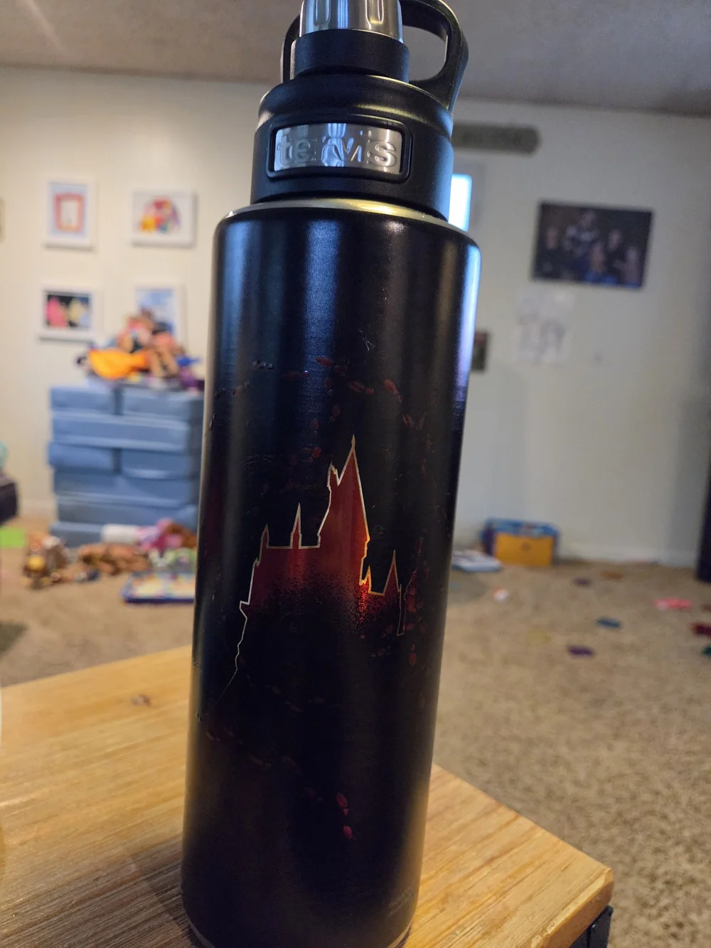 tervis fans harry